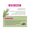 Rosemary & Clove Biberiye ve Karanfil Saç Bakım Yağı 100 ML